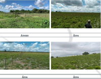 Fazenda Rural com 2.497,77 ha em Anajás - PA