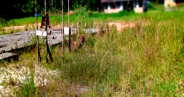 Terreno de 50% com 559.171,00m² em São Francisco do Sul