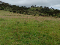 Amplo Terreno em São Joaquim - SC com 362.824,60m²