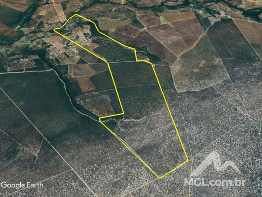Fazenda Santa Clara com 573,84 hectares em Arinos/MG