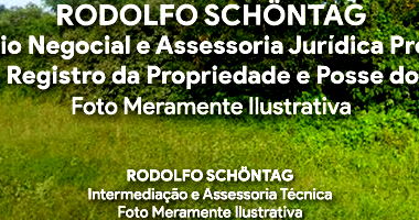 Sítios e Afins Rural com 91,7 hectares em estado natural