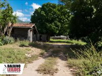 Fazenda Nossa Senhora Aparecida - 1.203 ha