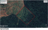 Terreno Rural com 69.575m² e Pinus taeda em Macieira/SC