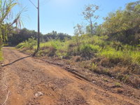 Lote urbano de 450m² no Loteamento Estrela Dourada