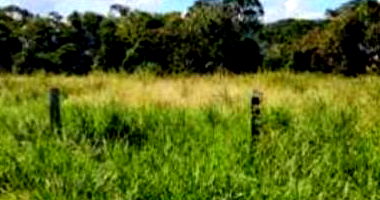 Terreno comercial de 10.000m² em Costa Marquês/RO