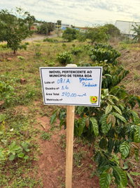 Terreno urbano 140m² em Terra Boa/PR - Loteamento Pinheiro