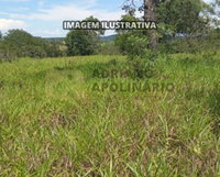 Fazenda Alagoas Brejo Comprido - 32,13 ha de terras