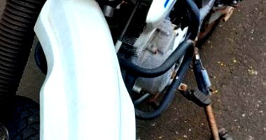 MOTOCICLETA HONDA/NXR-150 BROS KS 2006