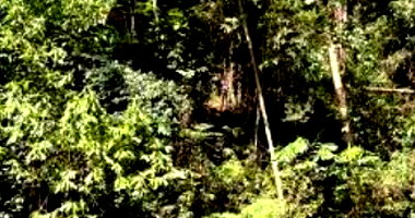 Terreno de 561,26m² ocupado no Condomínio Nova São Paulo