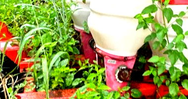 Plantadeira Kohler 4 Linhas - Ideal para Agricultura
