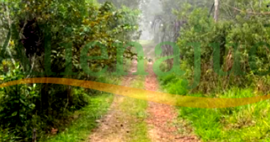 Terreno Amplo em Embu Guaçu - SP