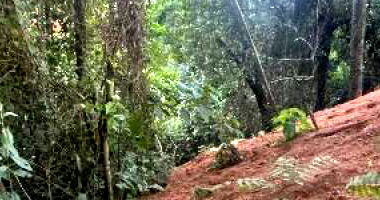 Terreno de 731m² em Nova Lima