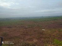 Lote Rural com 17,5450 hectares em Terra Roxa/PR