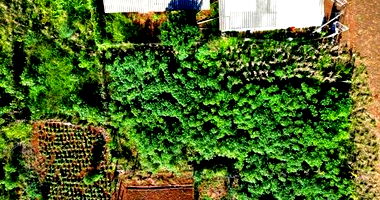 Terreno Urbano Desocupado em Salto do Lontra/PR