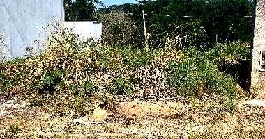Terreno em Presidente Prudente/SP com 203,86m²