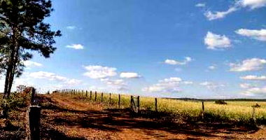 Terreno Rural de 2ha em Guarapuava/PR