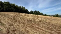 Área rural de 1,5 ha em Horizontina - RS