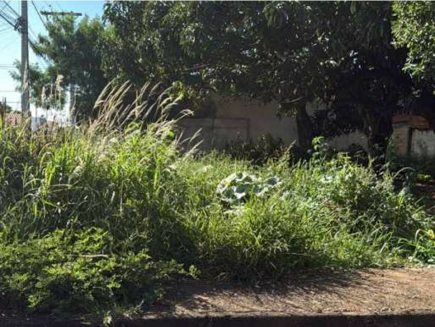 Terreno de 253,57m² no Morumbi