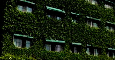 Apartamento Duplex com 323m² em Guarulhos