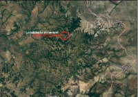 Fazenda 3 Irmãos - Imóvel Rural com 399,93 ha