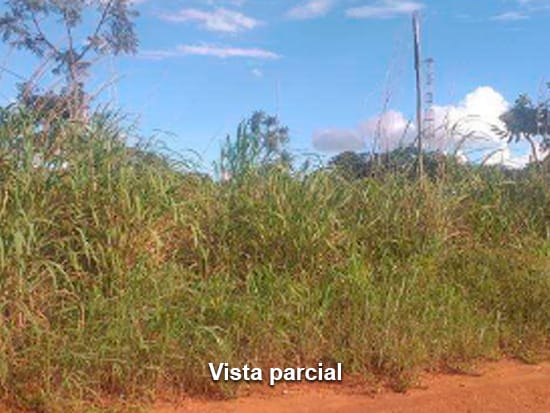 Chácara com 9.000m² em Anápolis, ocupada
