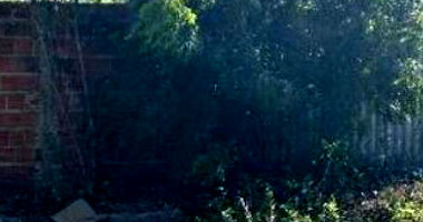 Terreno em Pau dos Ferros/RN com 200m²