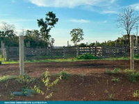 Fazenda com 303 ha, pasto, curral e represa em Peixe/TO