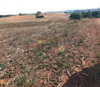 Imóvel Rural com 24,20 Hectares em Vera Cruz do Oeste