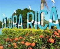 Sítio com 4,76 hectares em Flora Rica, ideal para investimento rural