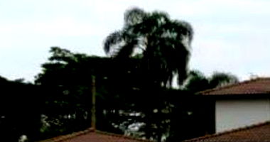 Terreno amplo 1000m² em condomínio, imóvel ocupado