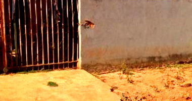 Casa em Santo Antônio do Descoberto/GO com 2 quartos