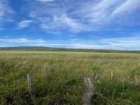 Fazenda rural desocupada com 25,94 ha em Caldas Novas