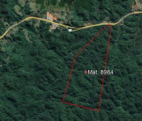 Fazenda Piccoli com 275 hectares em Antonina - PR