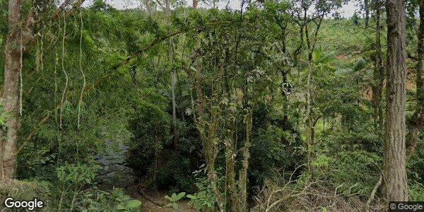Sítio com 25 hectares - Alto Lageado