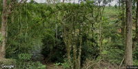 Sítio com 25 hectares - Alto Lageado