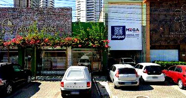 Casa de Madeira com Terreno Amplo de 600m²