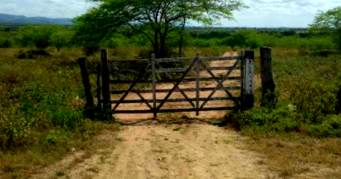 Sítio Rural com 50 Hectares em Itaíba/PE