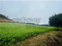 Área rural de 11,36 ha, sem benfeitorias, desocupada