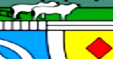 Fazenda Campo Alegre 3 suítes 5 dorms 450m² construída