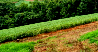 Imóvel rural com 48,4 ha, sem benfeitorias, terreno amplo