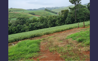 Imóvel rural com 48,4 ha, sem benfeitorias, terreno amplo