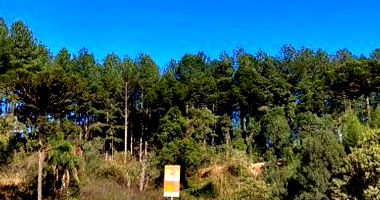 Terreno com 3.632,73m² em Rio dos Cedros/SC