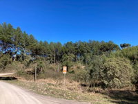 Terreno com 3.632,73m² em Rio dos Cedros/SC