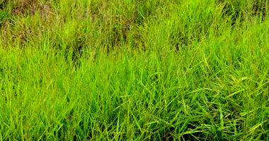 Terreno amplo de 379m² no Loteamento Água da Esperança, Cambé