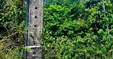 Terreno de 60.500m² com benfeitorias em Ouro/SC