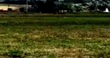 Terrenos desocupados com área total de 621,32m², ideal para investimento