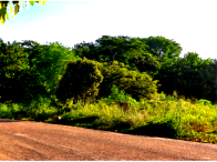 Terreno com 590m² em Rondonópolis - Oportunidade Única!