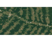 Fazenda Sítio Bom Futuro - Imóvel Rural com 67,86 ha