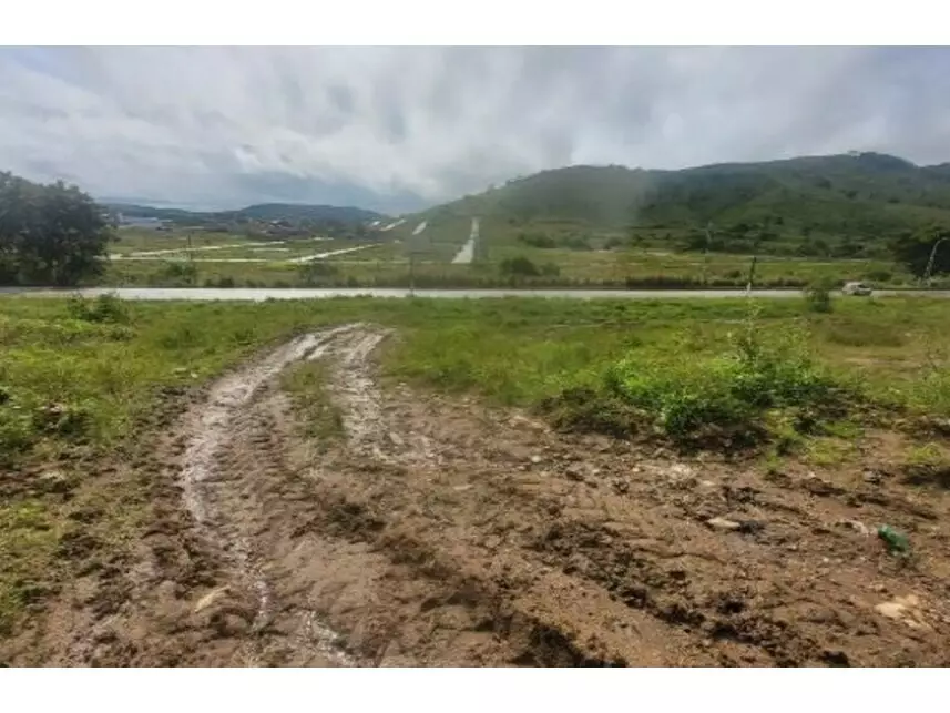 Terreno amplo em leilão com 3.916,25m² em Timbaúba/PE