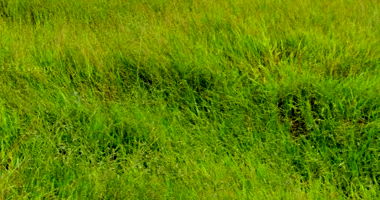 Terreno com 250,25m² no Loteamento Água da Esperança em Cambé/PR